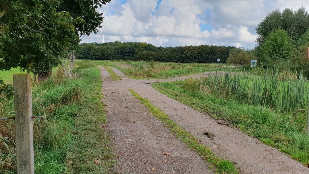 Bollenhagener Moorwald Nord