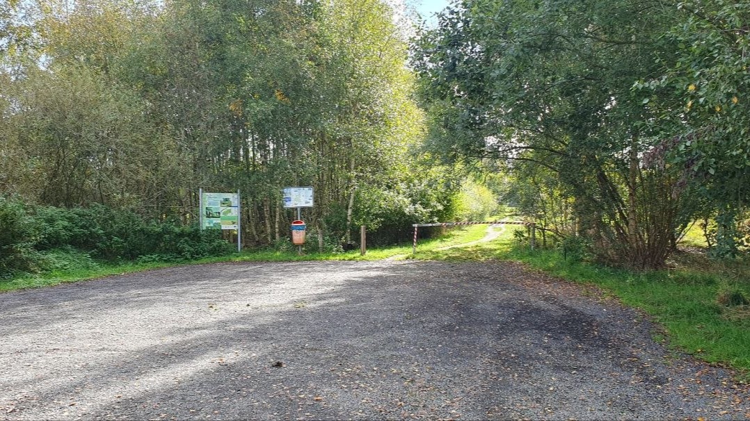Bollenhagener Moorwald Süd