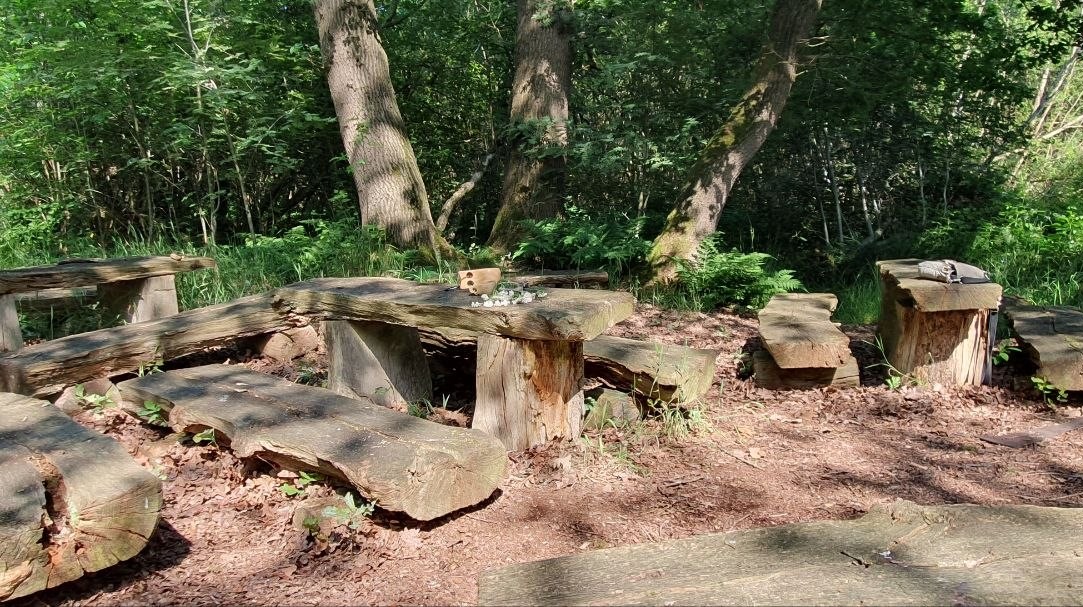 Bollenhagener Moorwald Süd